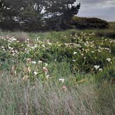 Review photo of Manchester Beach / Mendocino Coast KOA by Kade H., September 25, 2018