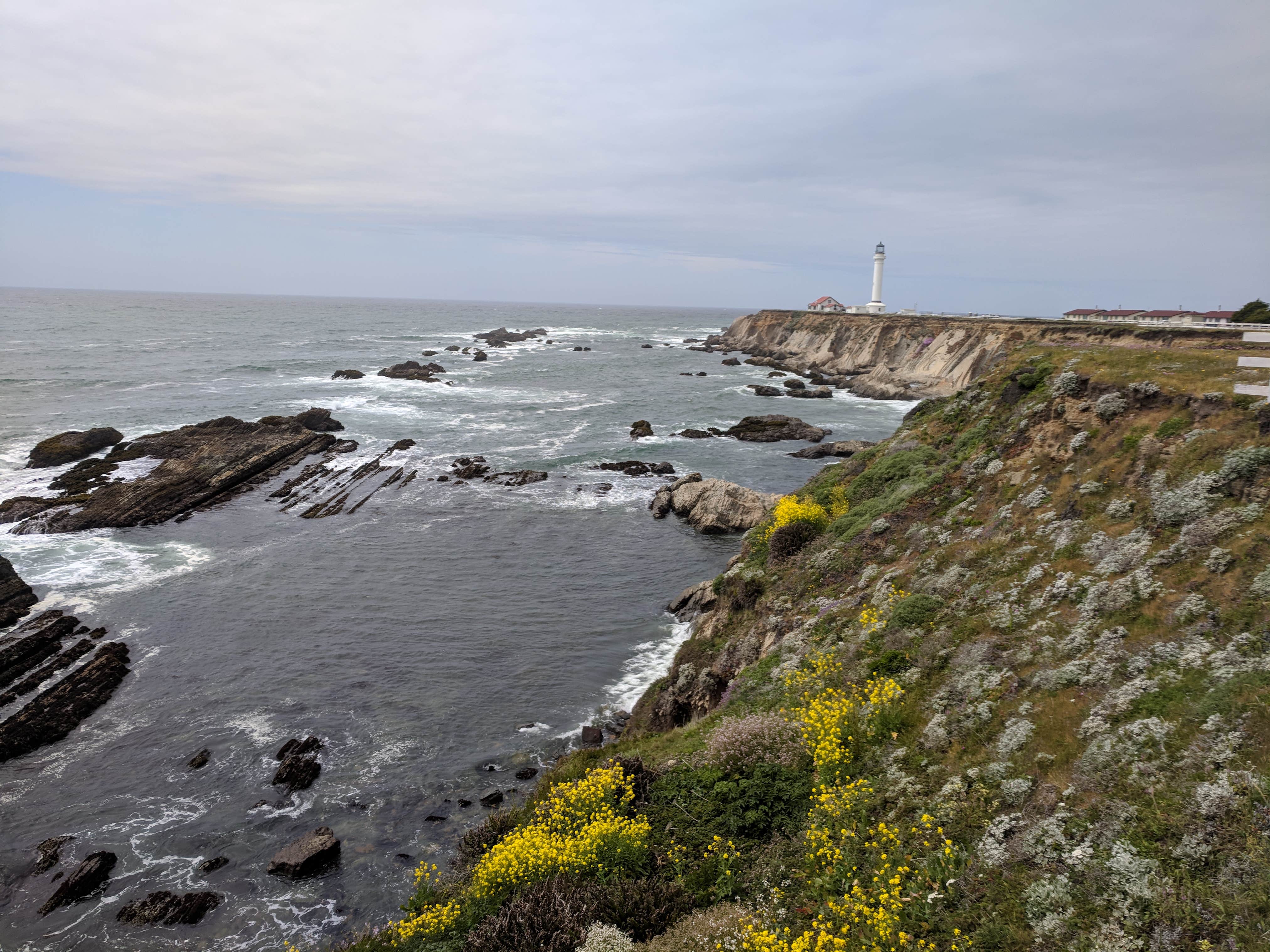 View at the nearby Point Arena Lighthouse.