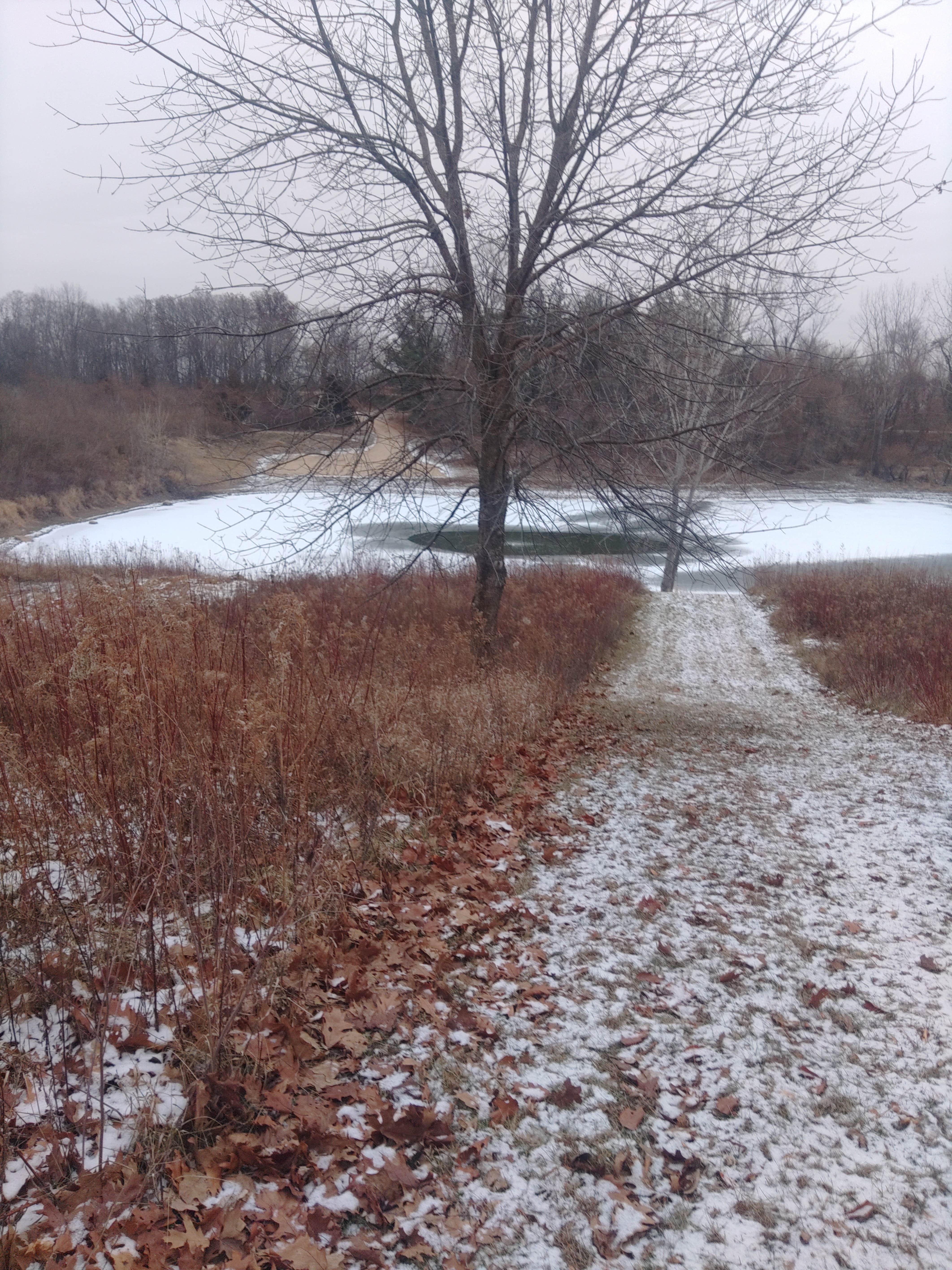 Camper-submitted photo at Bennett Park near Wheatland, IA