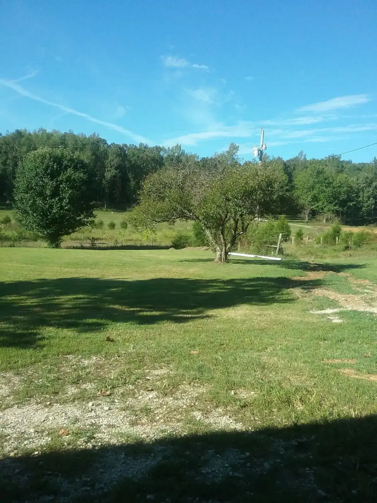 Camper-submitted photo at Big Sandy near New Johnsonville, TN