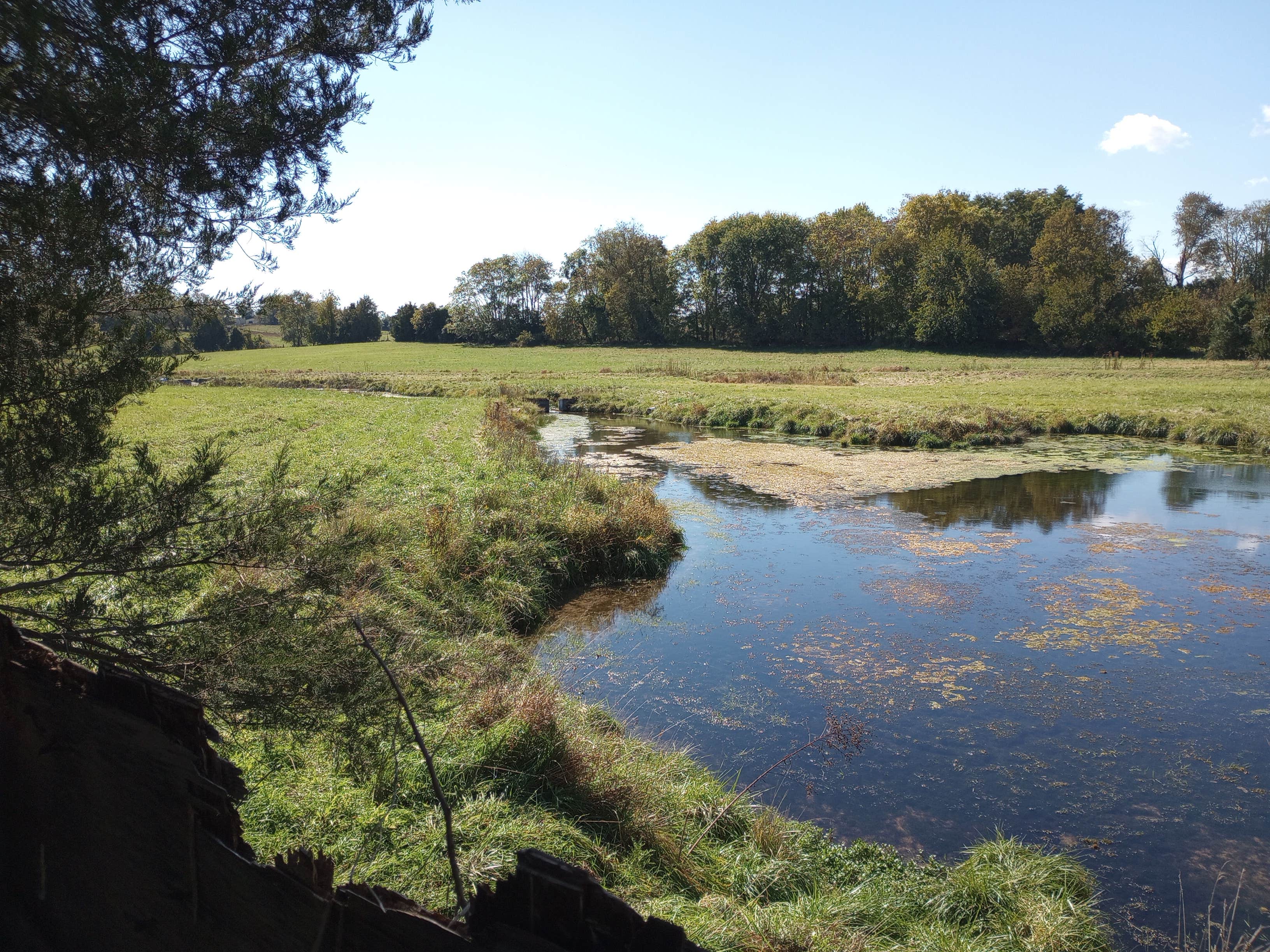Camper-submitted photo at Shannondale Gate Harpers Ferry near Rippon, WV