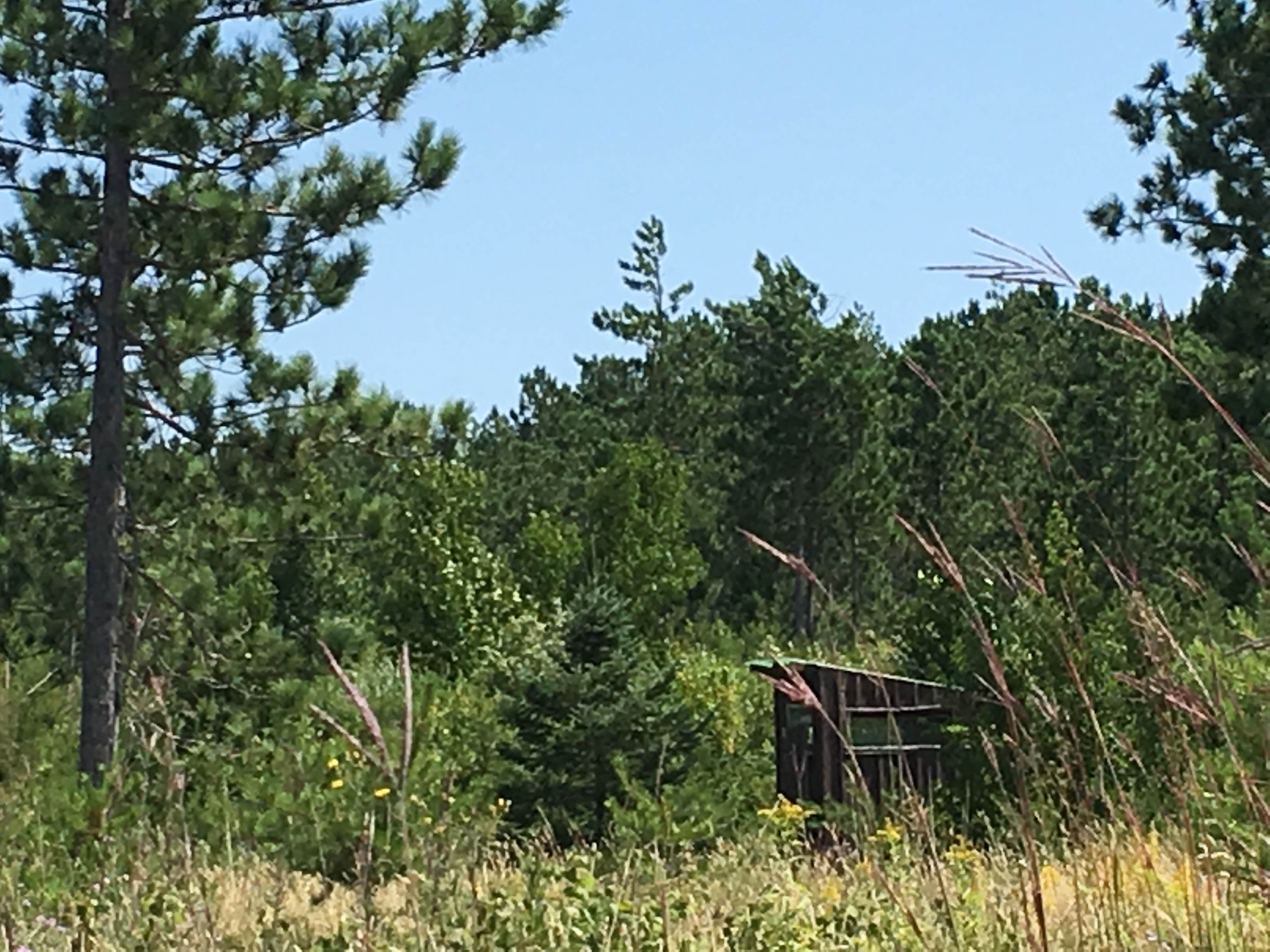 Camper-submitted photo at Pine Point Carry-in Access and Watercraft Campsite near Bemidji, MN