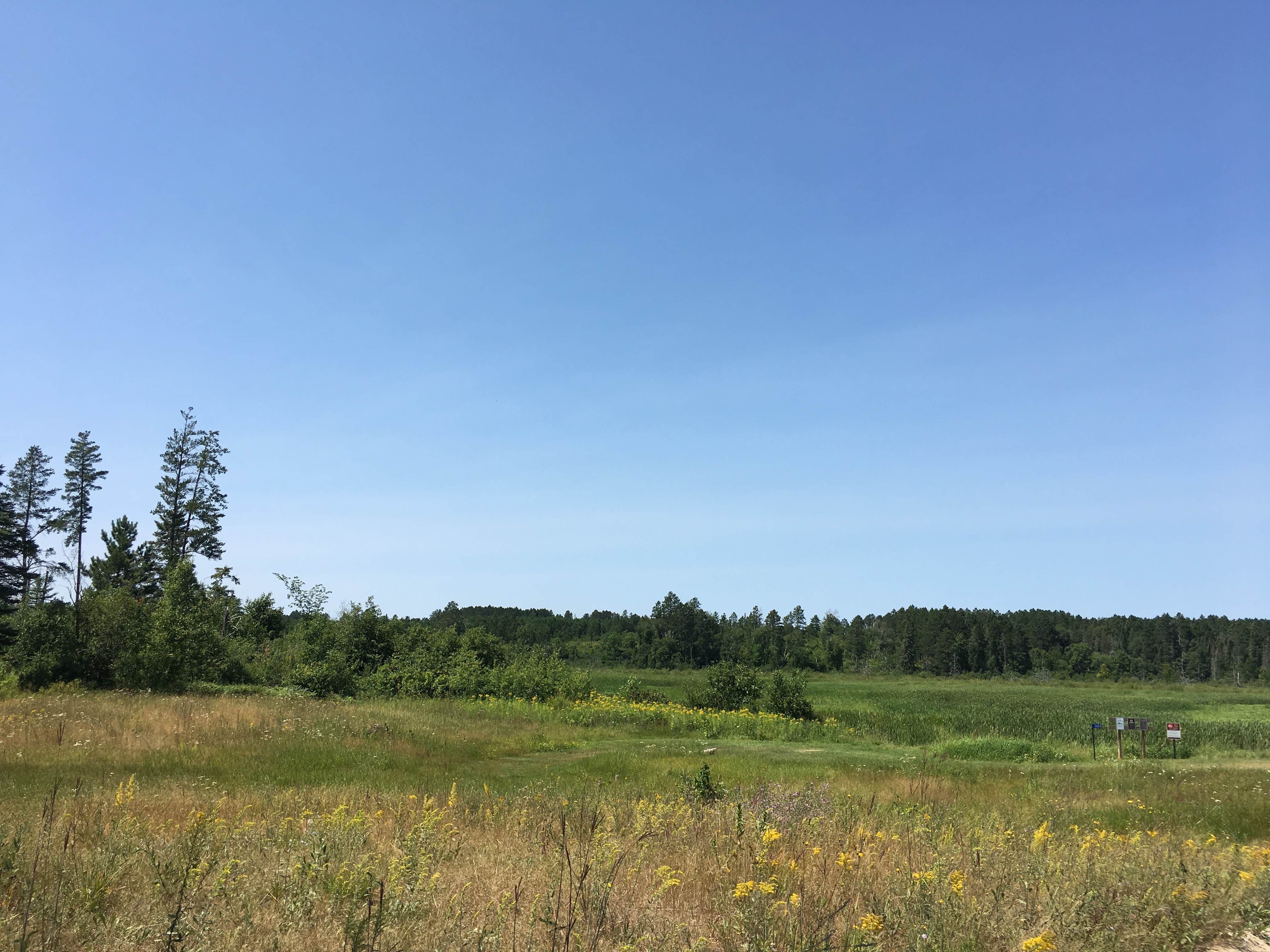 View All