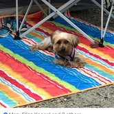 Review photo of Pocahontas State Park Campground by Kelly J., September 25, 2018