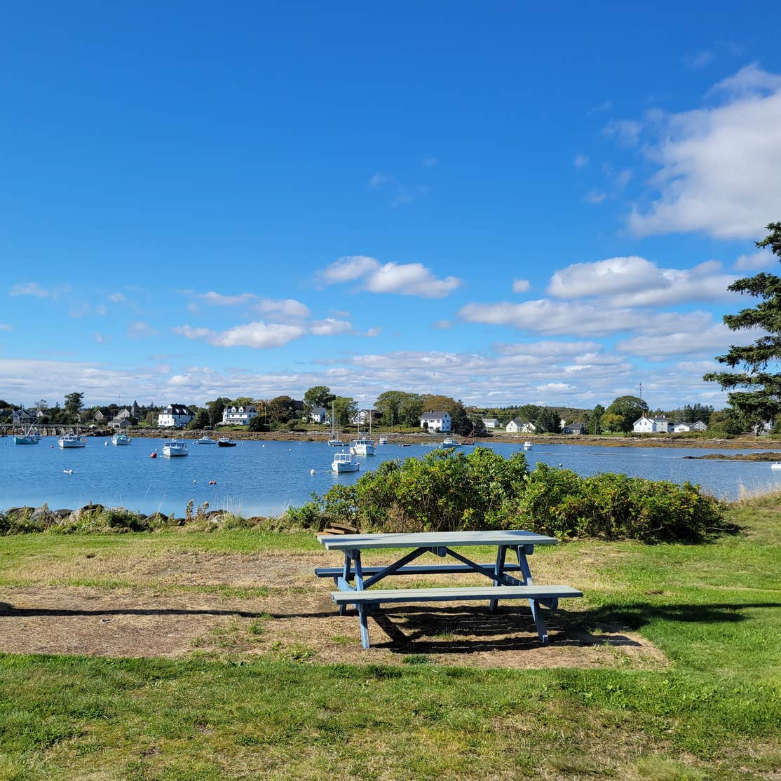 Jonesport Campground Camping The Dyrt