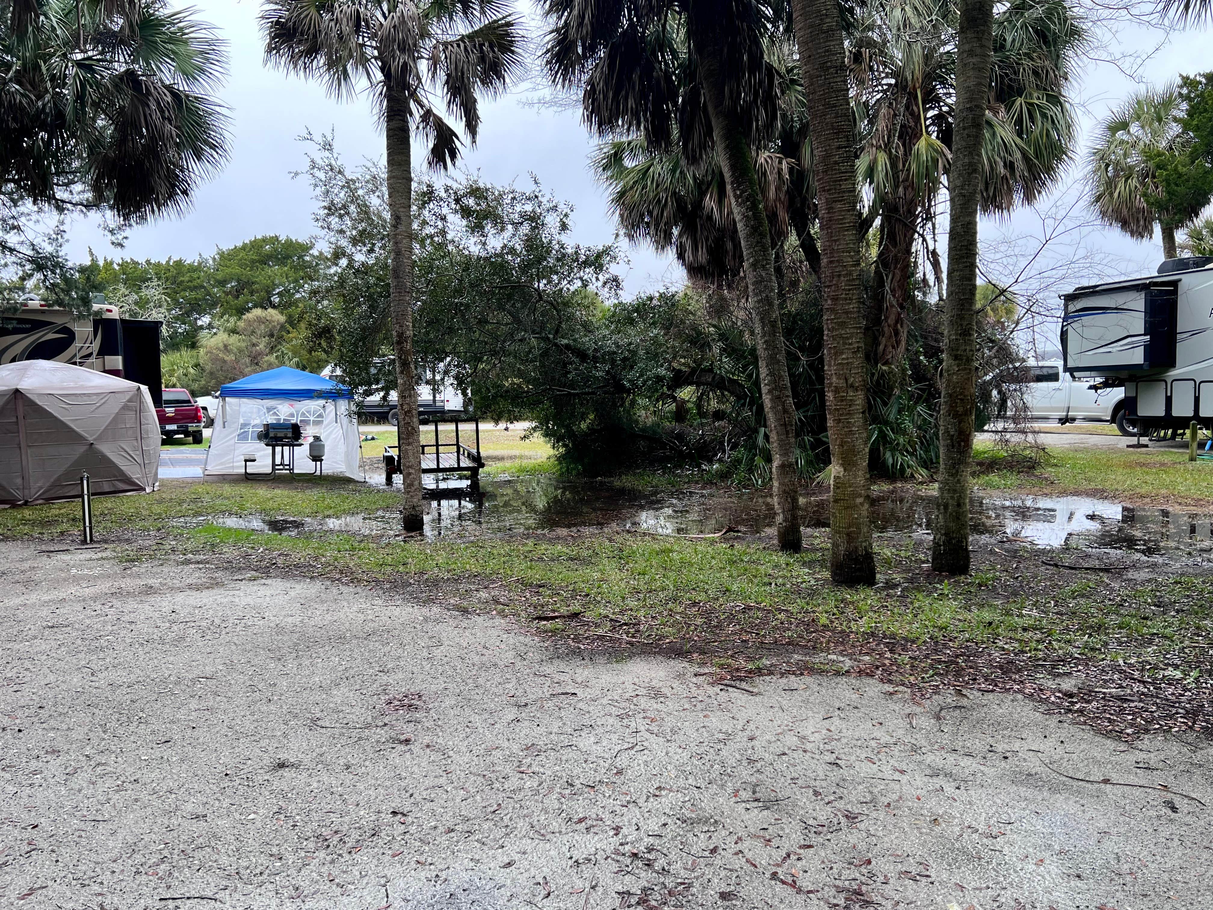 Tod S.'s photo at Edisto Beach State Park Campground near Port Royal, SC