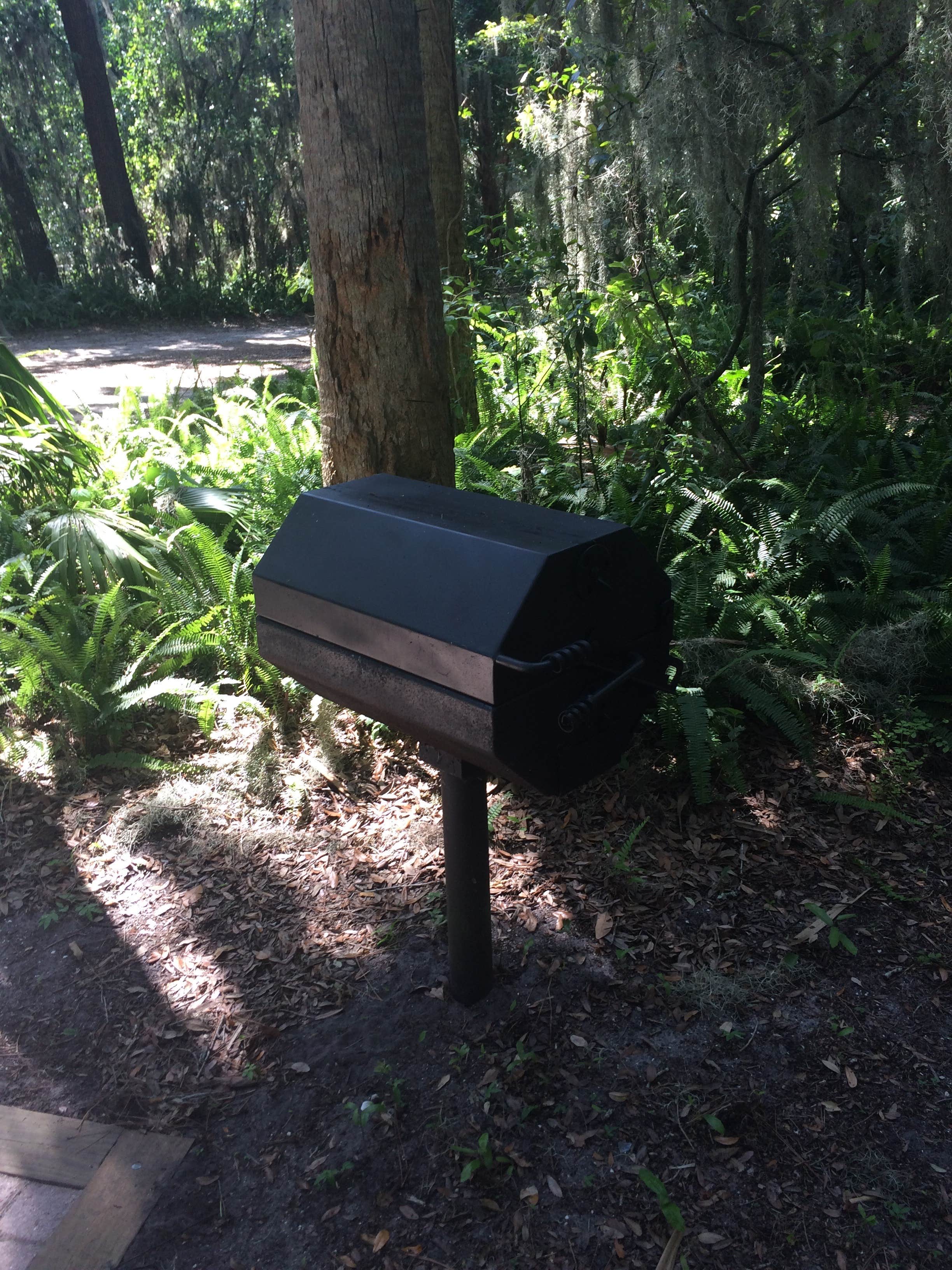 Camper submitted image from Trimble Park Campground - 3