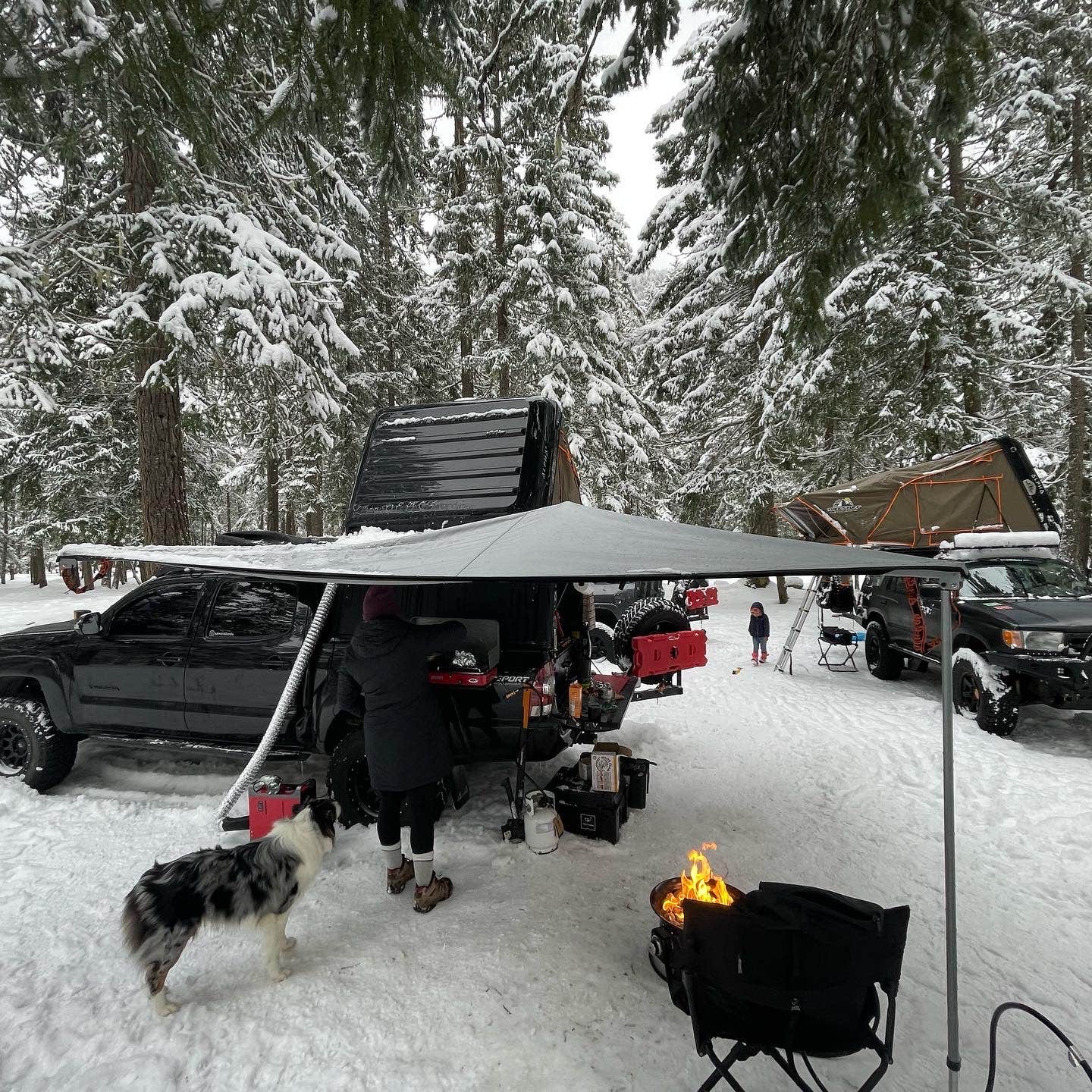 Jacob M.'s photo of camping with pets at Ranger Creek Airstrip Dispersed near Greenwater, WA