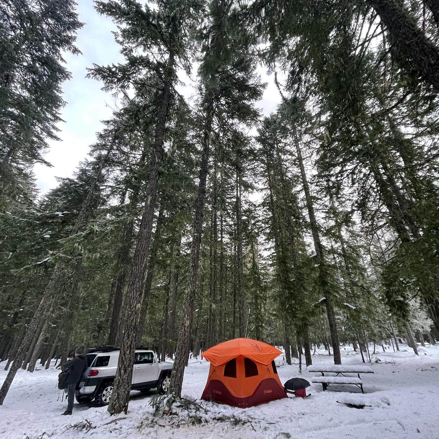 Camper submitted image from Ranger Creek Airstrip Dispersed - 5