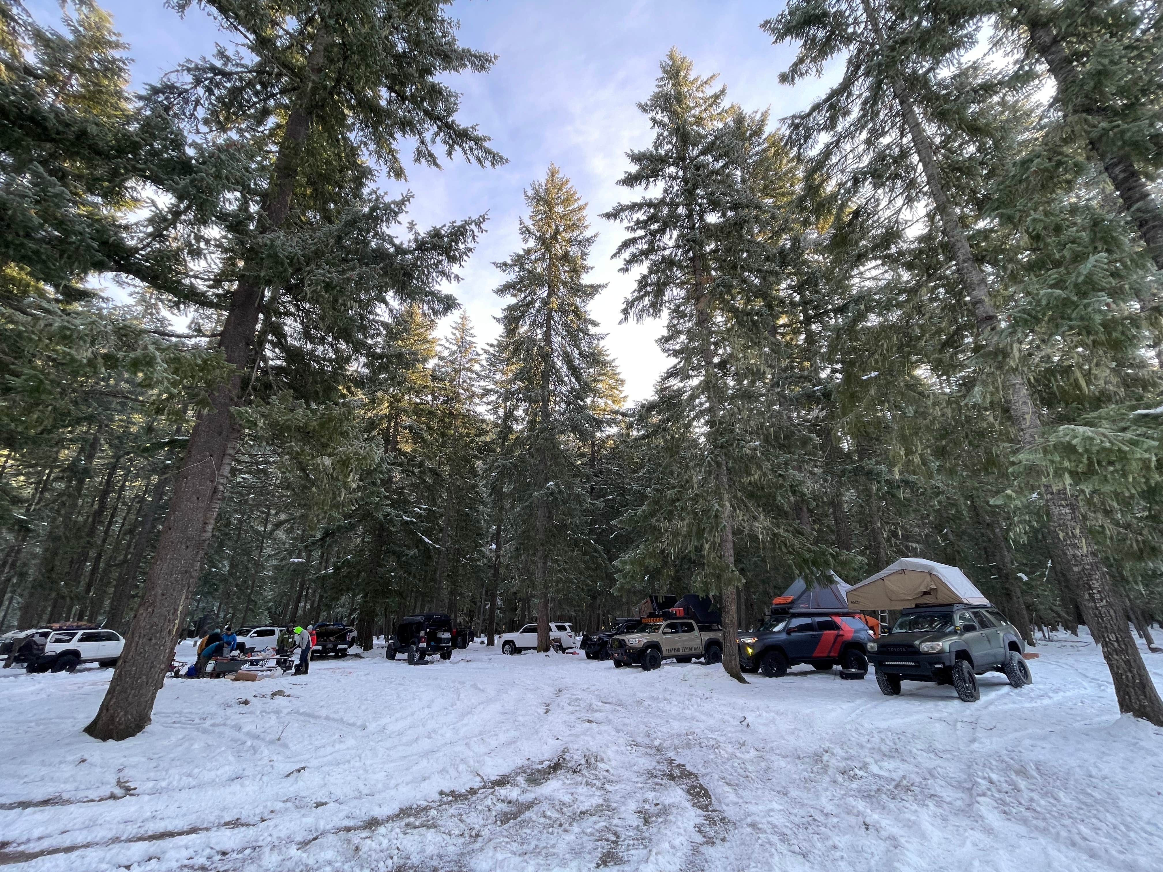 Camper-submitted photo at Ranger Creek Airstrip Dispersed near Lake Tapps, WA