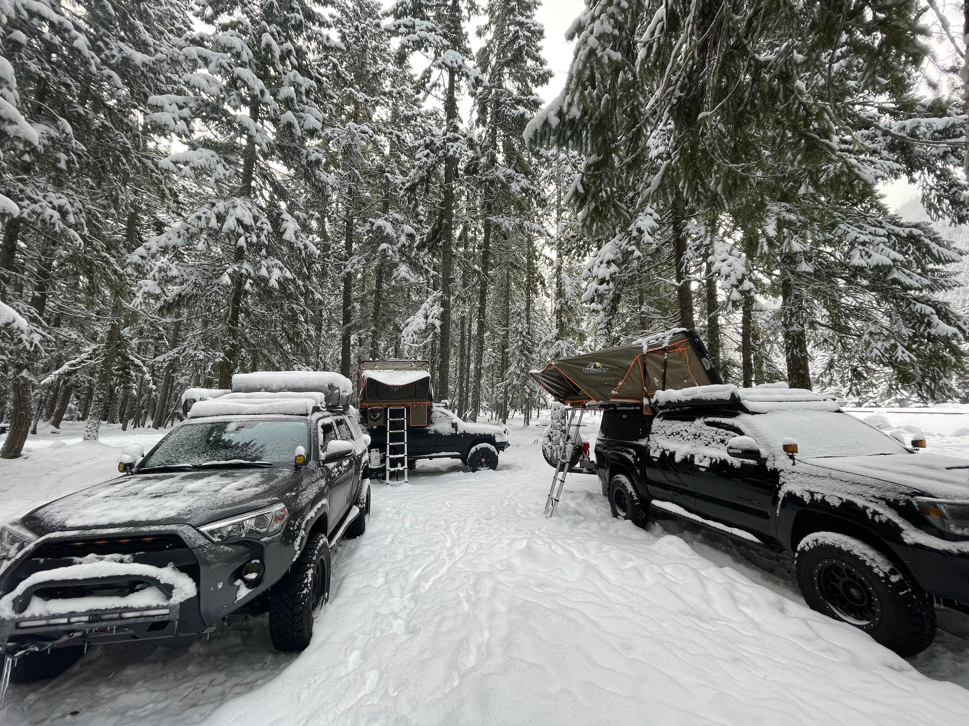 Camper submitted image from Ranger Creek Airstrip Dispersed - 5