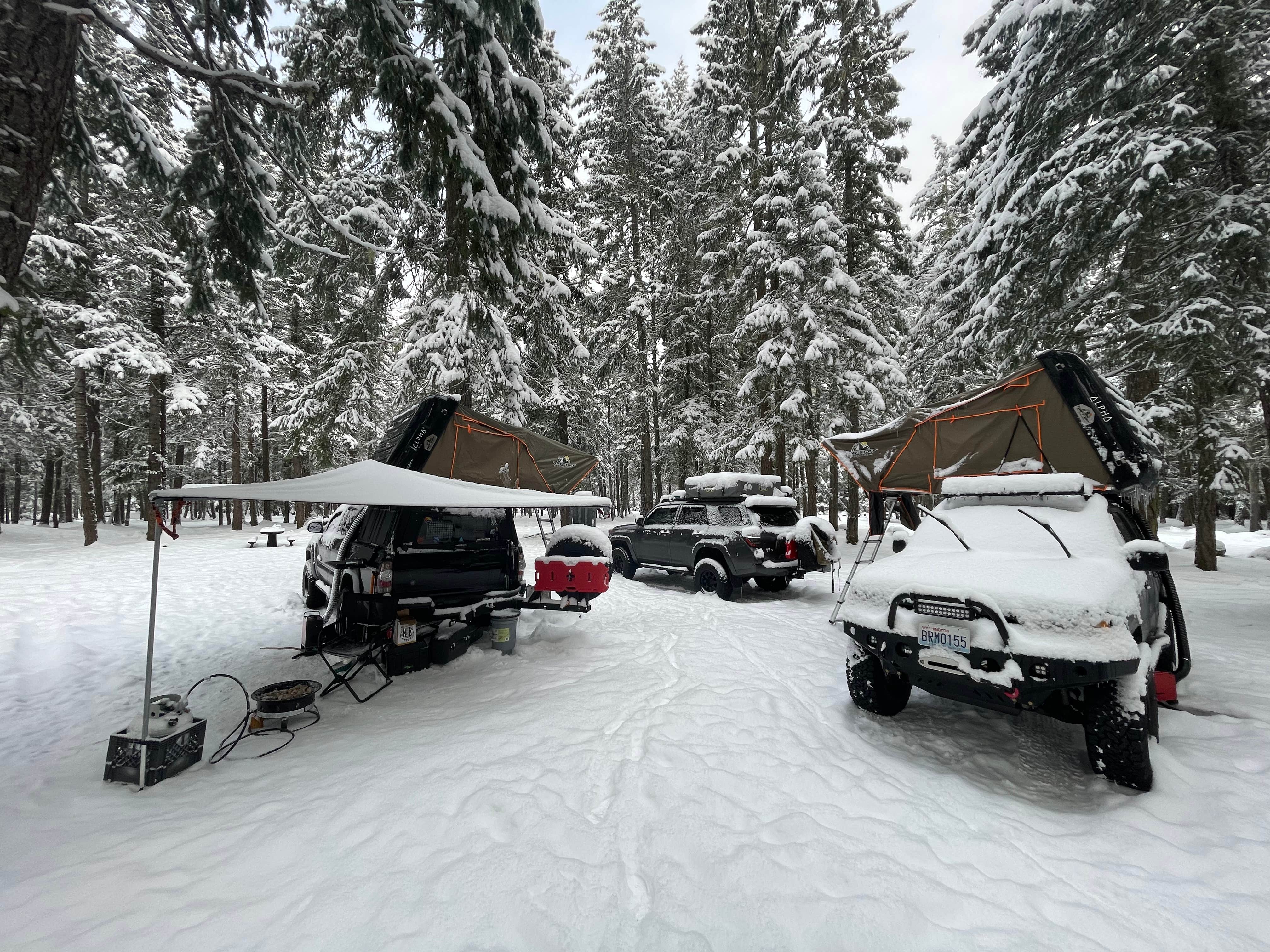 Camper submitted image from Ranger Creek Airstrip Dispersed - 5
