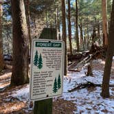 Review photo of Swallow Falls State Park Campground by Kate S., December 22, 2022