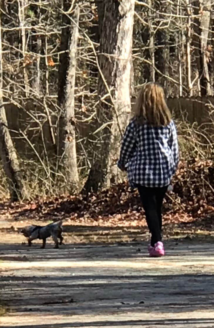 Camper-submitted photo at Yellow Lantern Kampground near McGraw, NY