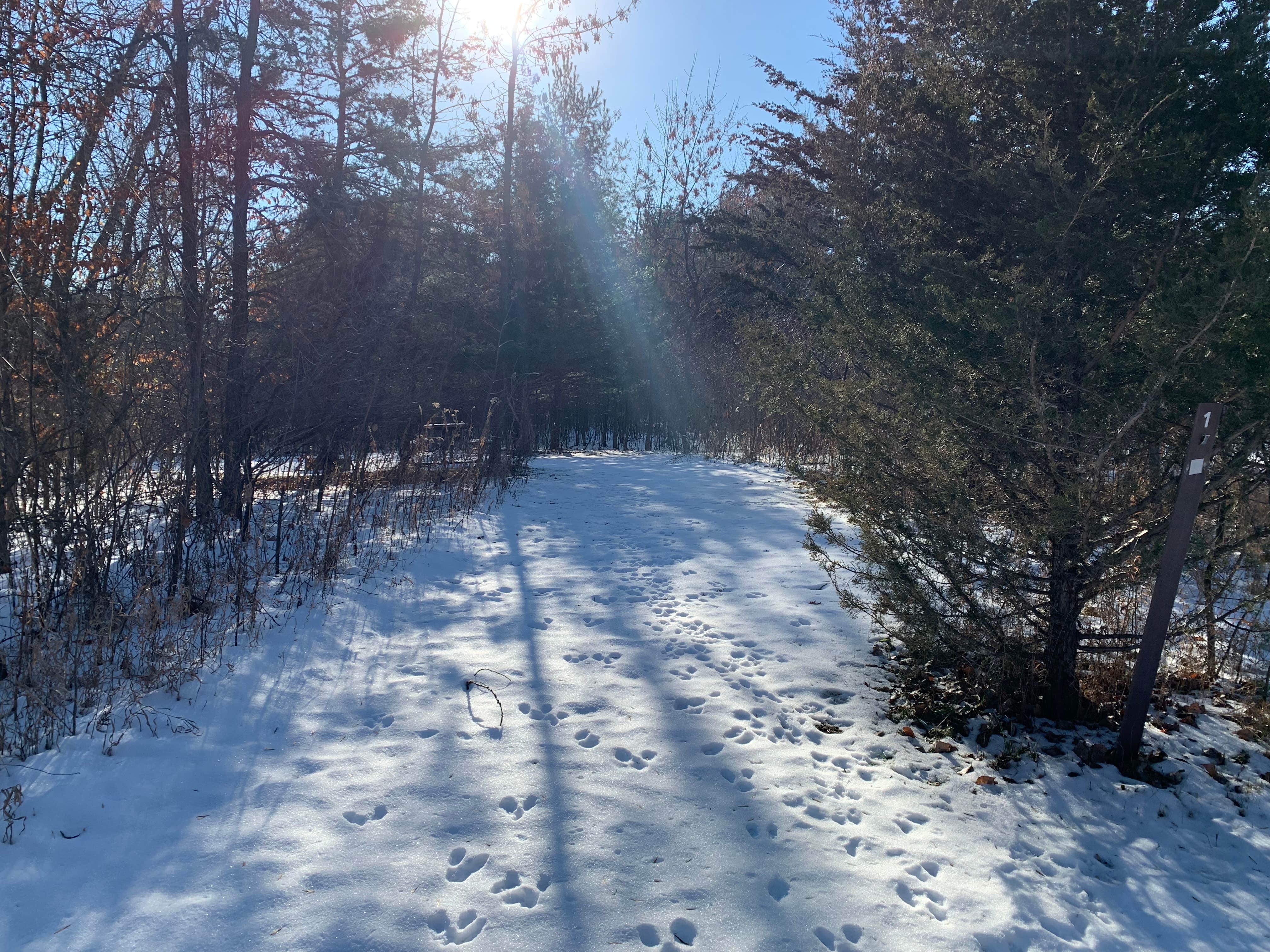 Camper-submitted photo at Cleary Lake Regional Park near Lakeville, MN