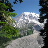 Review photo of Cougar Rock Campground — Mount Rainier National Park by Will  E., December 22, 2022