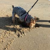 Review photo of Lakeview Camping Area — Fair Haven Beach State Park by Kelly J., September 25, 2018