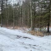 Review photo of Jay Cooke State Park Campground by Scott M., December 22, 2022