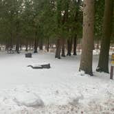 Review photo of Jay Cooke State Park Campground by Scott M., December 22, 2022