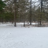 Review photo of Jay Cooke State Park Campground by Scott M., December 22, 2022