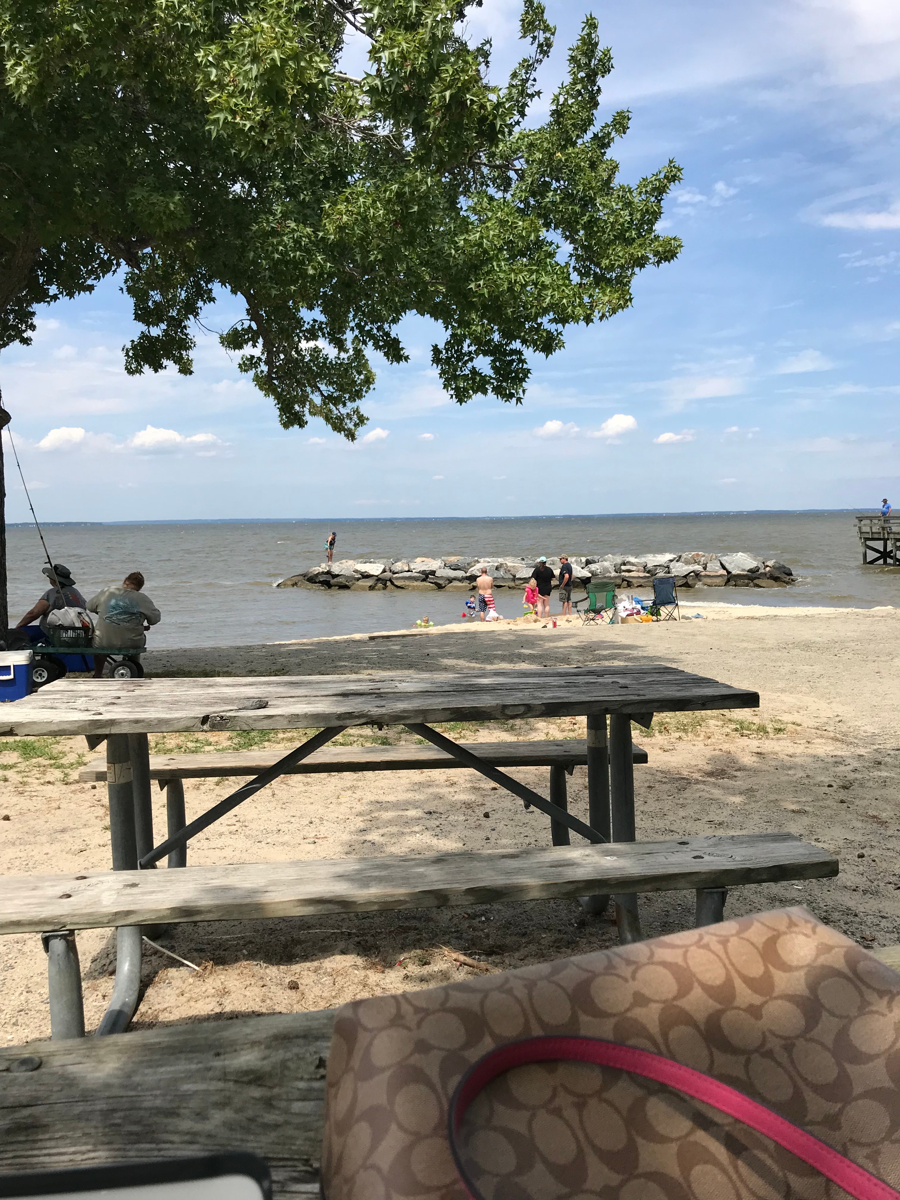 Camper submitted image from Lakeview Camping Area — Fair Haven Beach State Park - 3