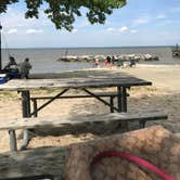 Review photo of Lakeview Camping Area — Fair Haven Beach State Park by Kelly J., September 25, 2018