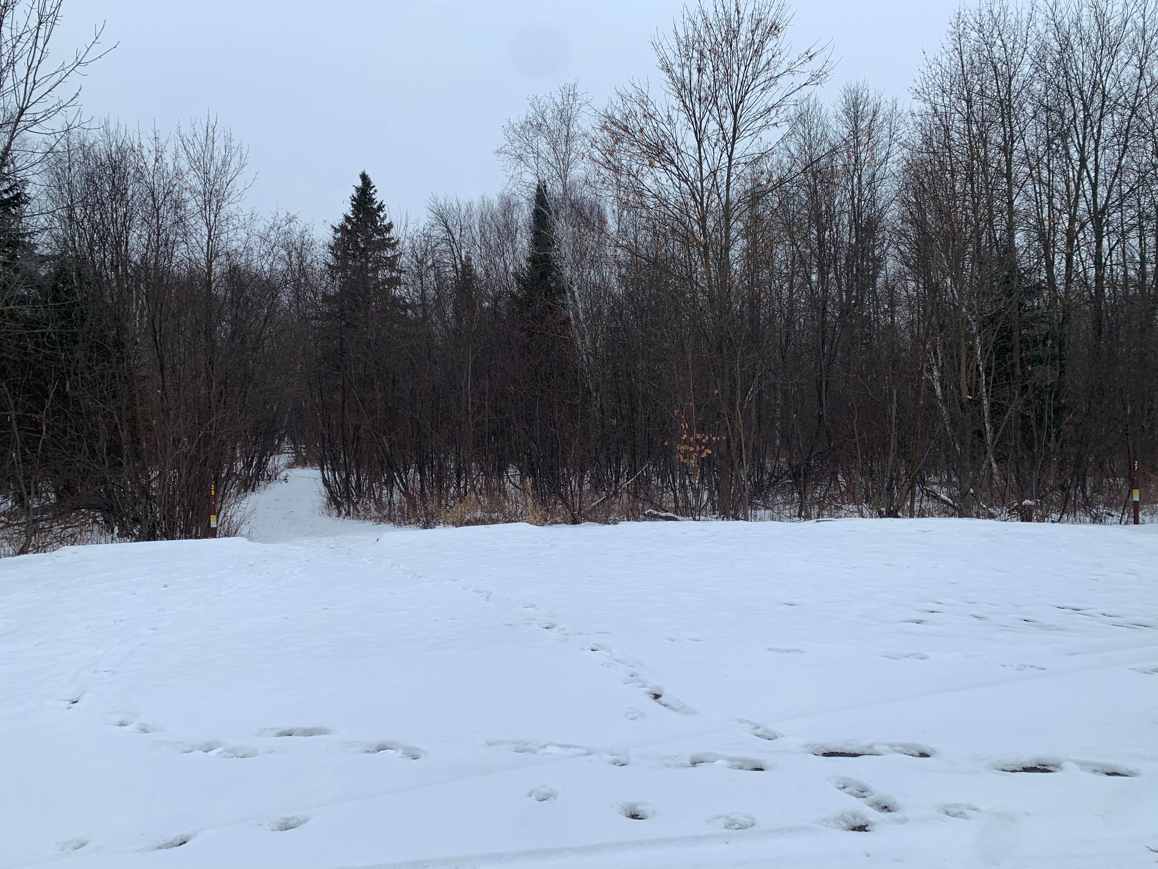 Camper-submitted photo at Moose Lake State Park Campground near Moose Lake, MN