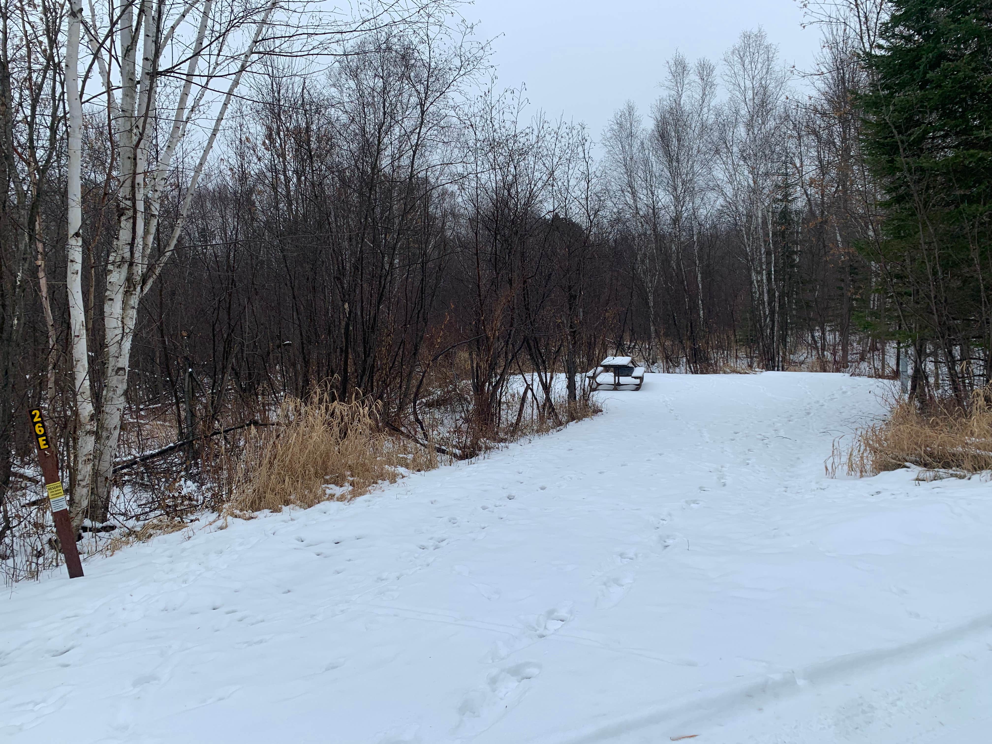 Camper submitted image from Moose Lake State Park Campground - 3