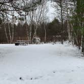 Review photo of Moose Lake State Park Campground by Scott M., December 22, 2022