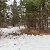 Review photo of Moose Lake State Park Campground by Scott M., December 22, 2022