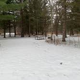 Review photo of Moose Lake State Park Campground by Scott M., December 22, 2022