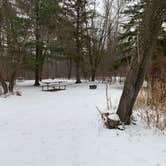 Review photo of Moose Lake State Park Campground by Scott M., December 22, 2022