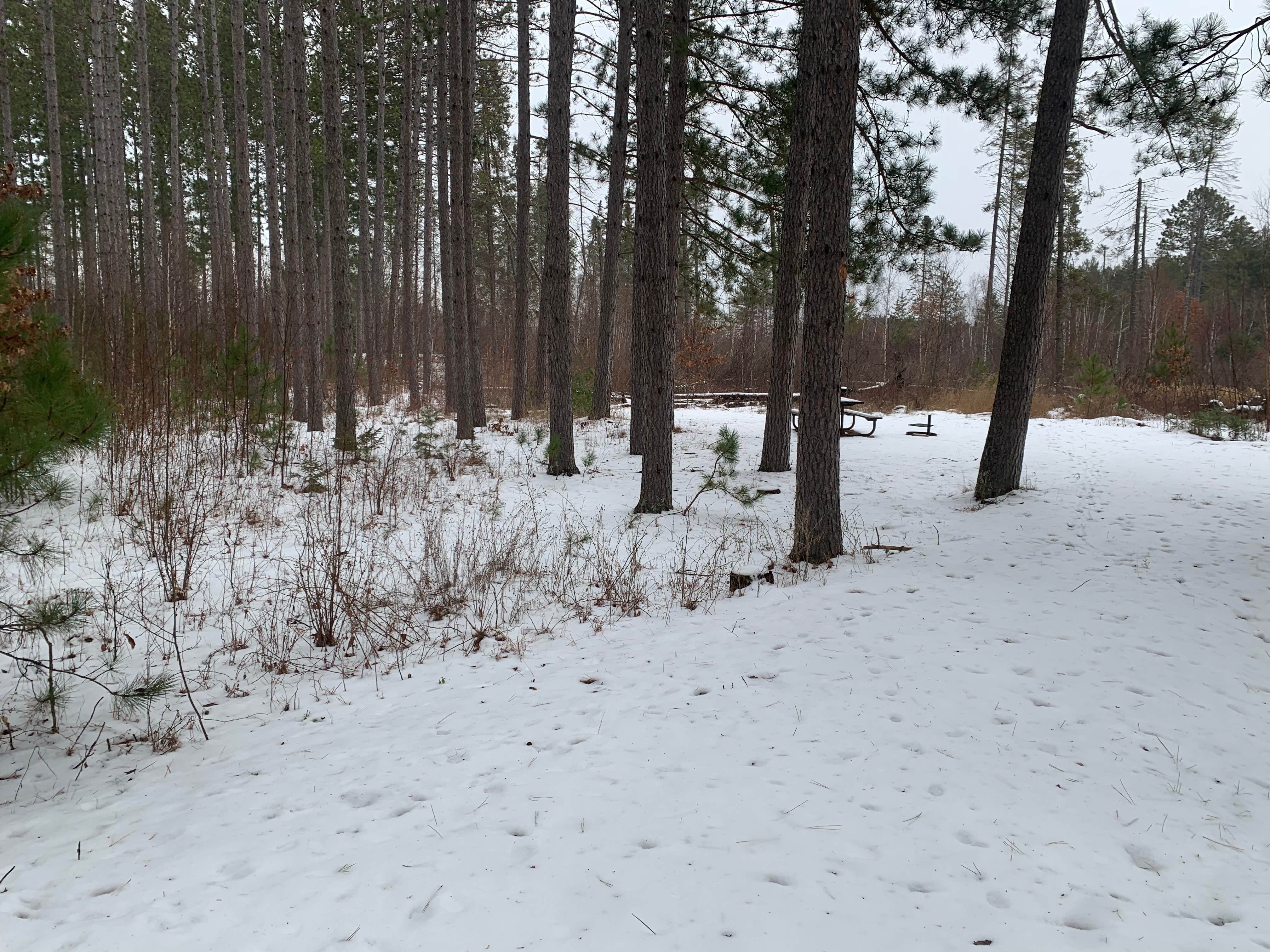 Camper-submitted photo at Willow River near Isle, MN