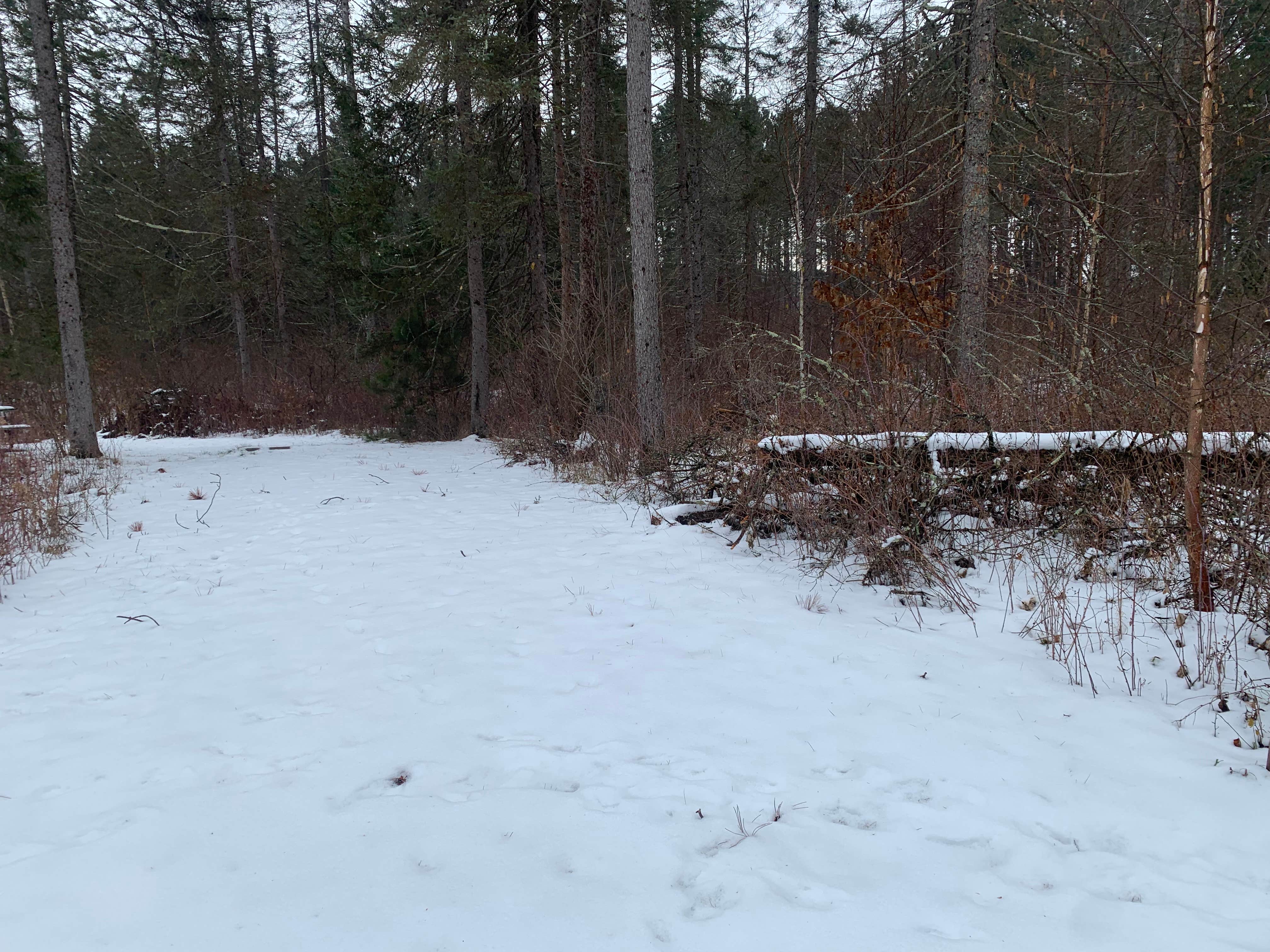Camper-submitted photo at Willow River near Isle, MN