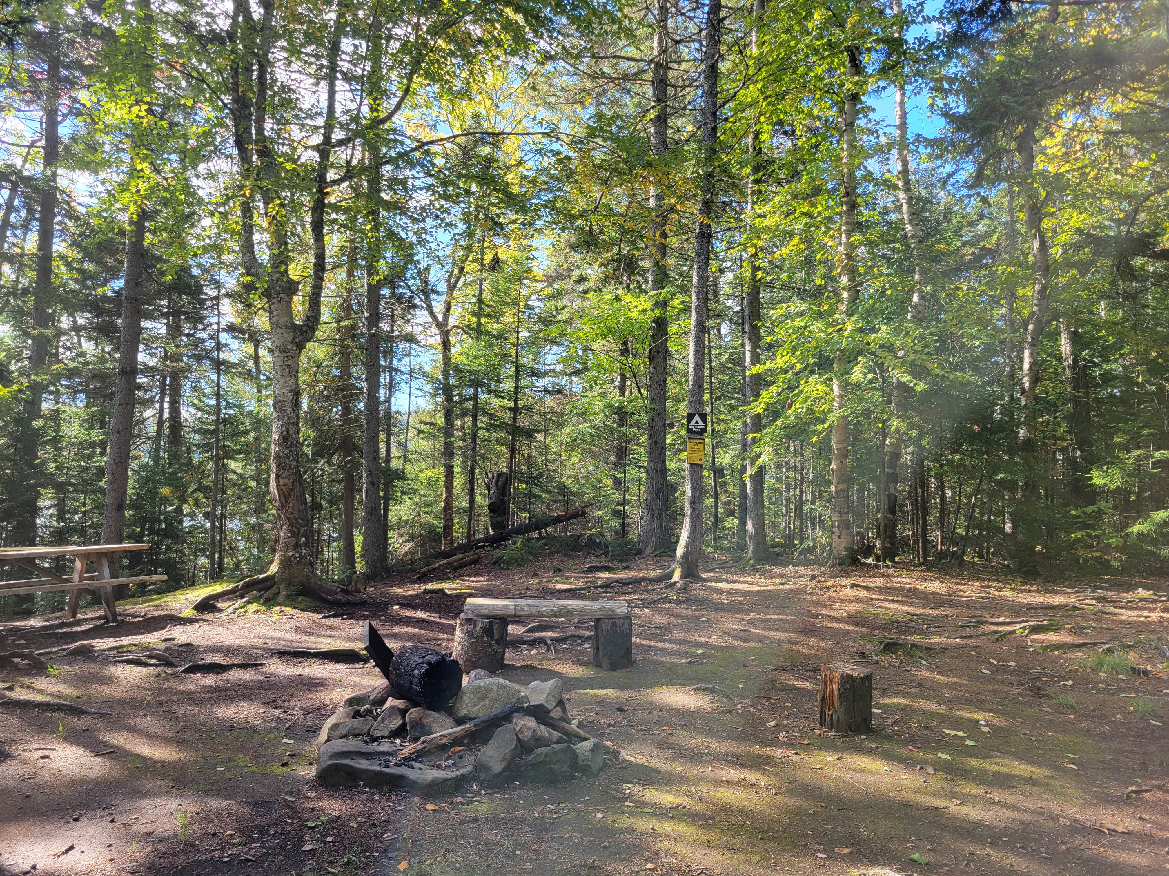 Camper submitted image from Big Moose Pond Campsite - 3