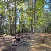 Review photo of Big Moose Pond Campsite by Nancy W., December 23, 2022