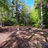 Review photo of Big Moose Pond Campsite by Nancy W., December 23, 2022