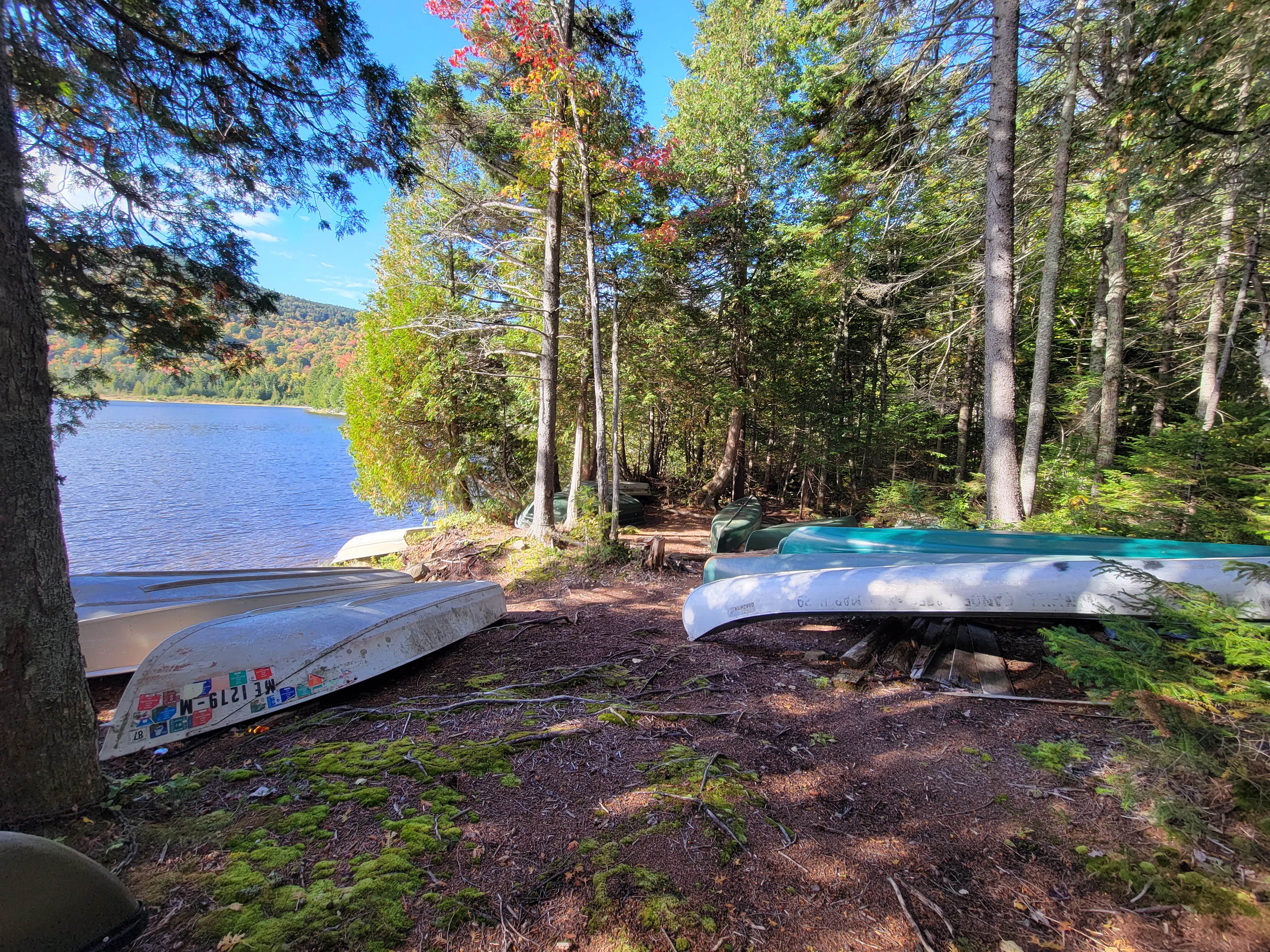 Camper-submitted photo at Big Moose Pond Campsite near Frenchtown, ME