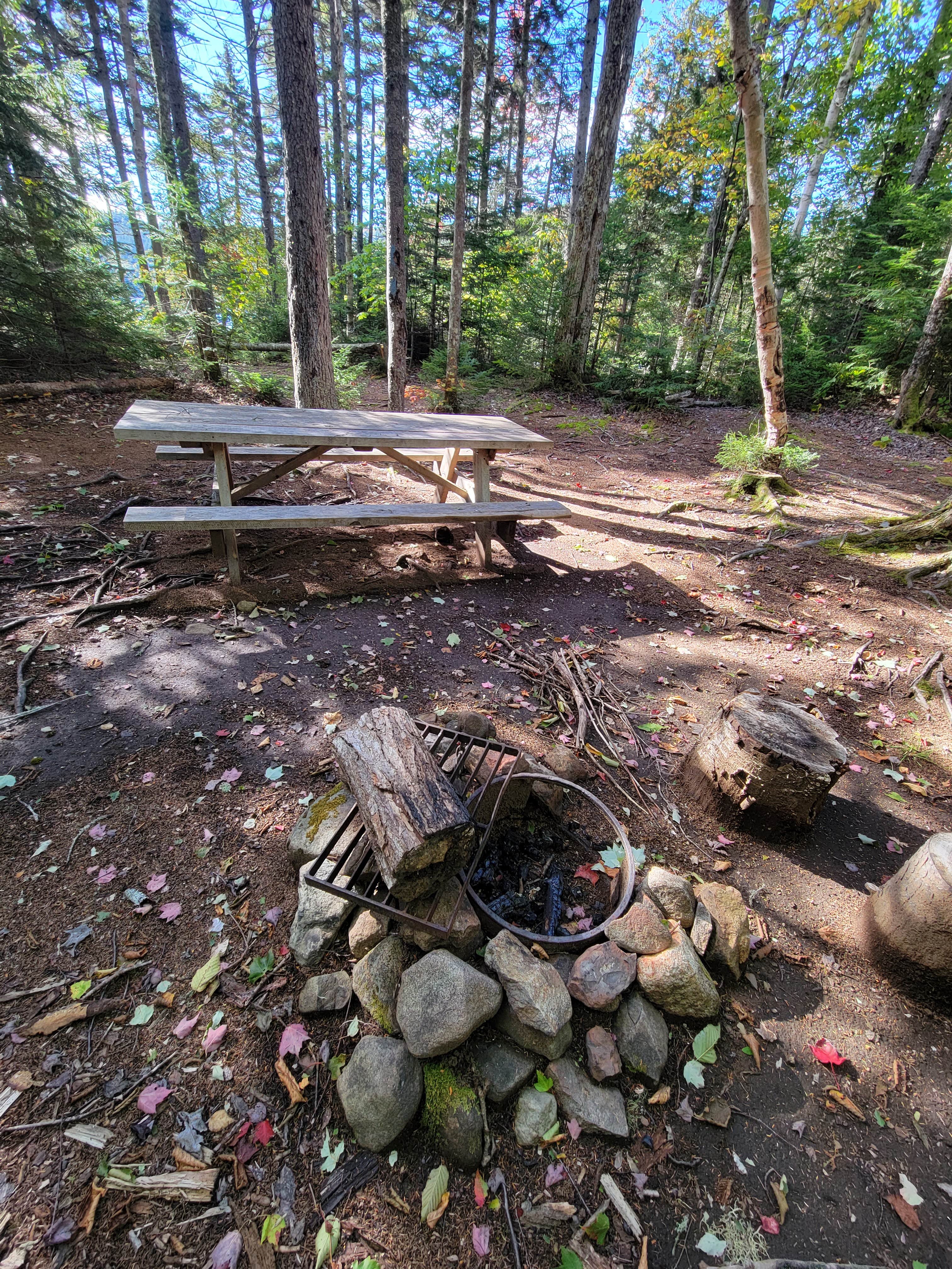 Camper-submitted photo at Big Moose Pond Campsite near Frenchtown, ME