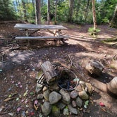 Review photo of Big Moose Pond Campsite by Nancy W., December 23, 2022