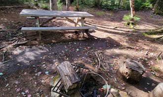 Camping near Little Moose Pond Campsite: Big Moose Pond Campsite, Greenville Junction, Maine