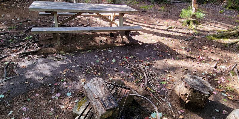 Camper submitted image from Big Moose Pond Campsite