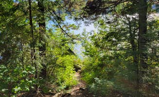 Nancy W.'s photo of camping with pets at Big Moose Pond Campsite near Greenville Junction, ME