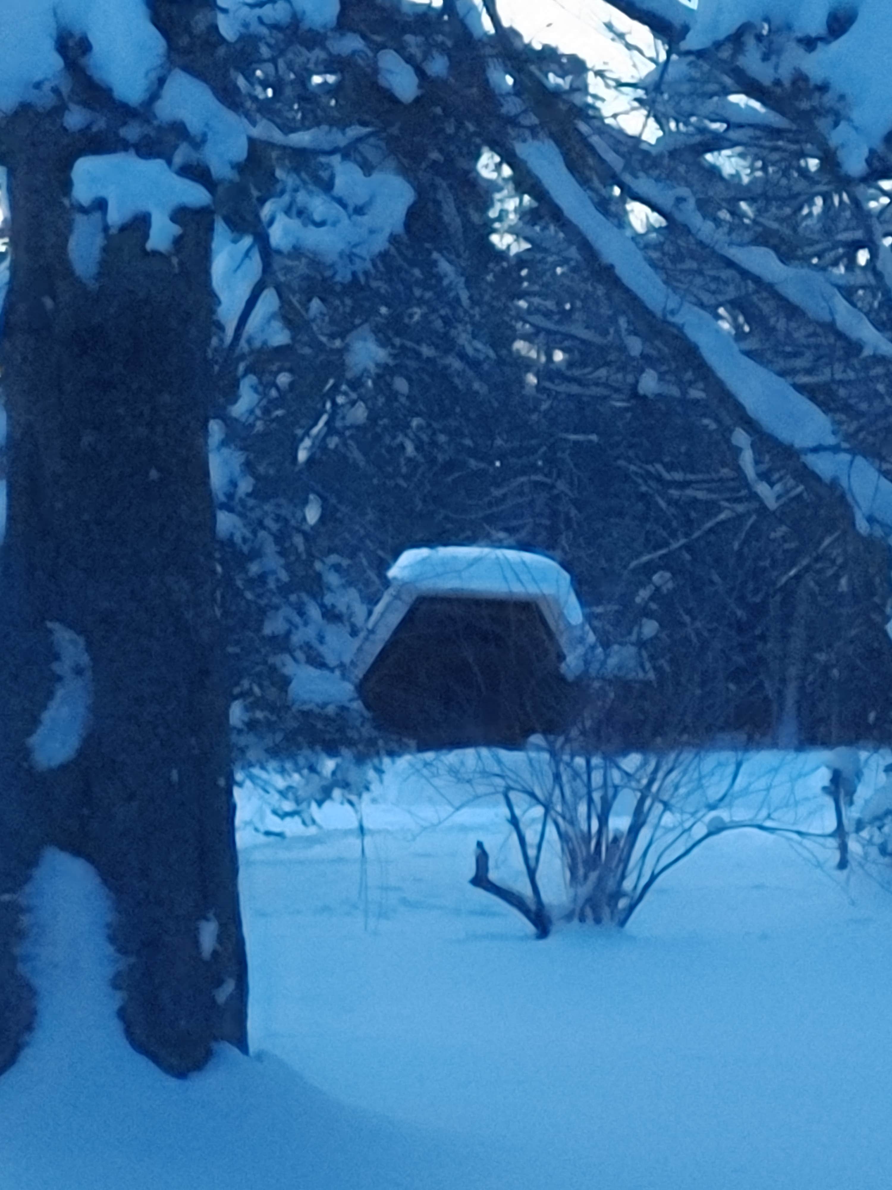 Camper-submitted photo at Art and Health Chill Camping near Barre, VT
