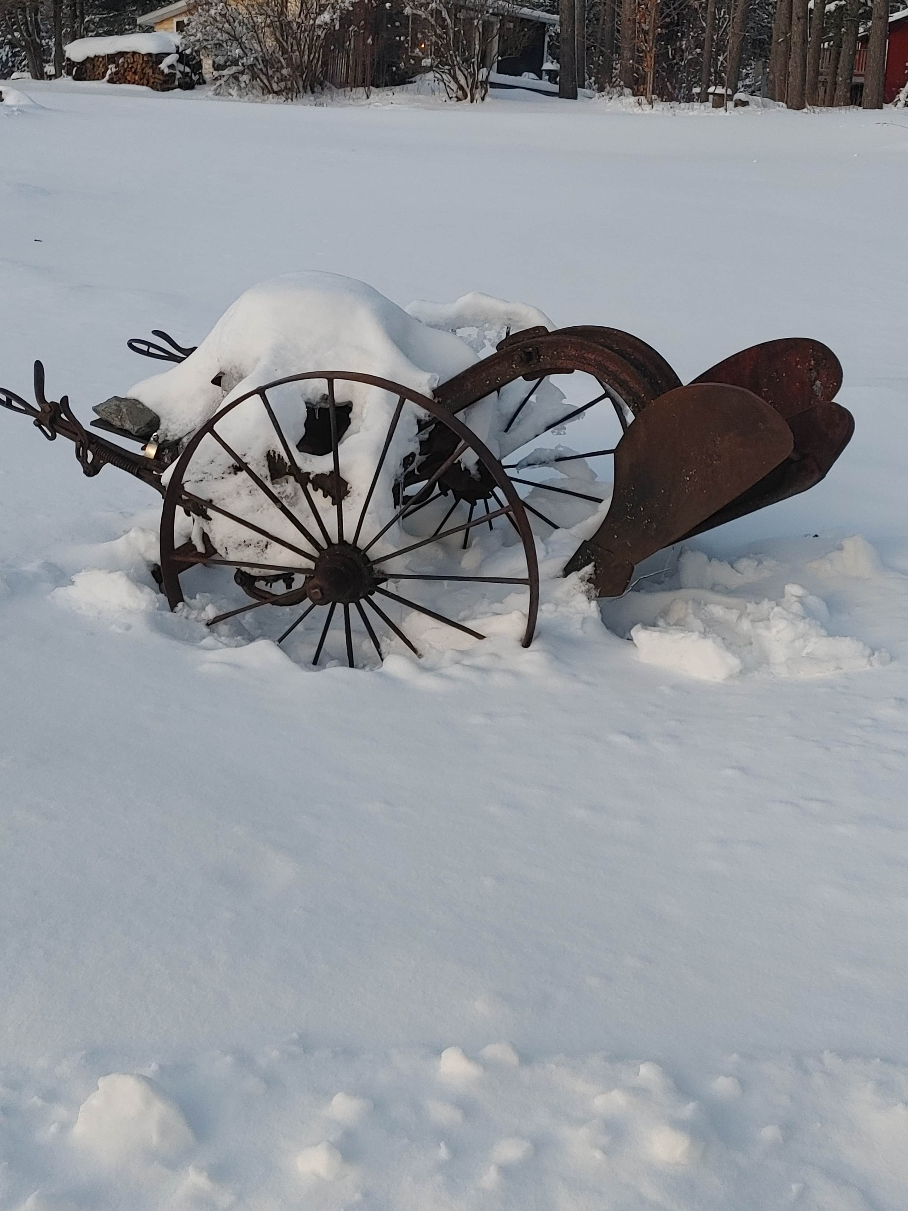 Camper-submitted photo at Art and Health Chill Camping near Barre, VT