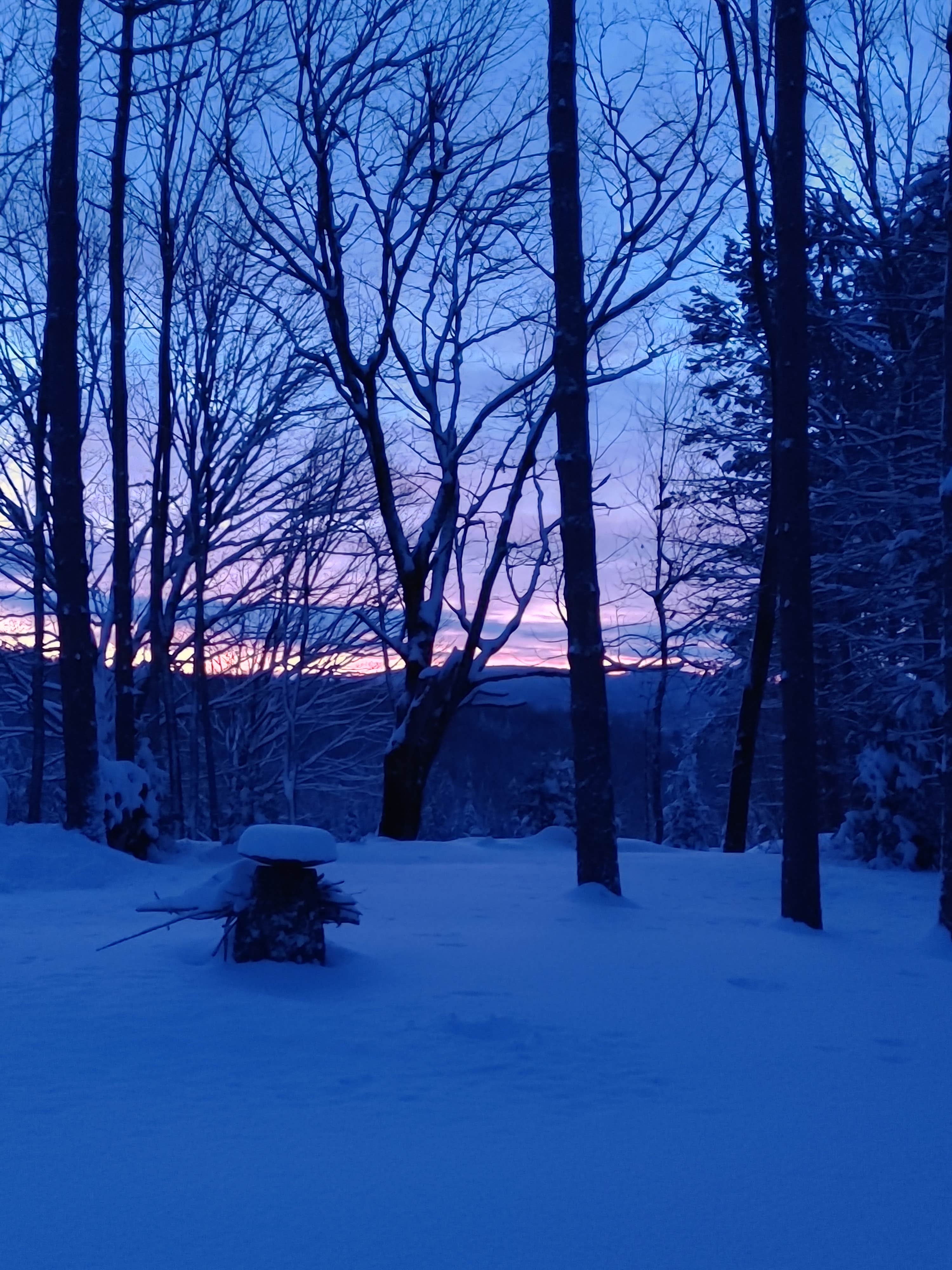 Art and Health Chill Camping