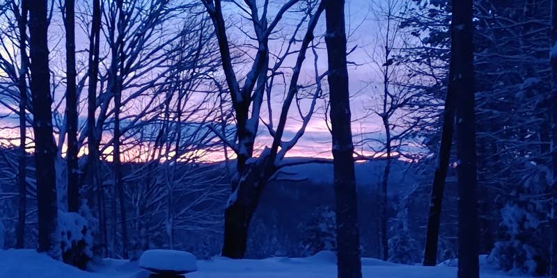 Camper submitted image from Art and Health Chill Camping