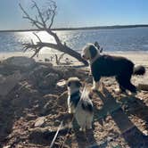 Review photo of North Beach Camp Resort by Amanda W., December 24, 2022