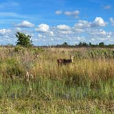 Review photo of Kilpatrick Hammock Campground — Kissimmee Prairie Preserve State Park by Ryan B., December 24, 2022