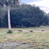 Review photo of Kilpatrick Hammock Campground — Kissimmee Prairie Preserve State Park by Ryan B., December 24, 2022